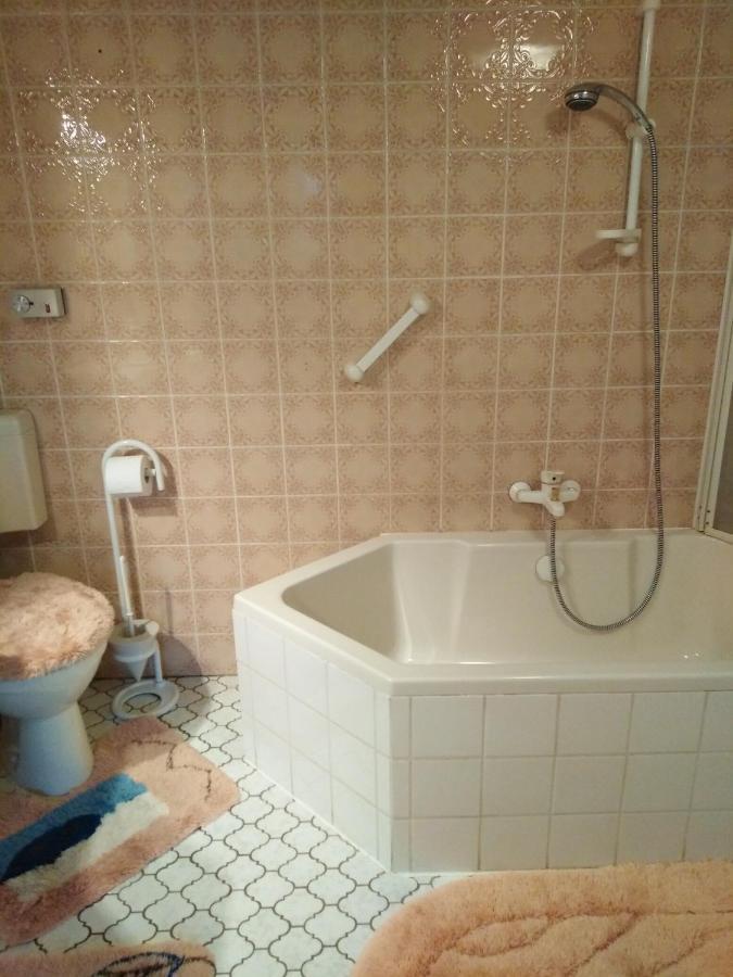 Landhaus Wohnung In D 63667 Nidda, Gaesschen 8 Erdgeschoss Rechts 外观 照片